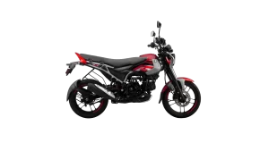 Bajaj Freedom 125 – A modern CNG-powered motorcycle, available for export from India, offering eco-friendly commuting